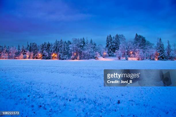 frozen winter wonderland - norrbotten province 個照片及圖片檔