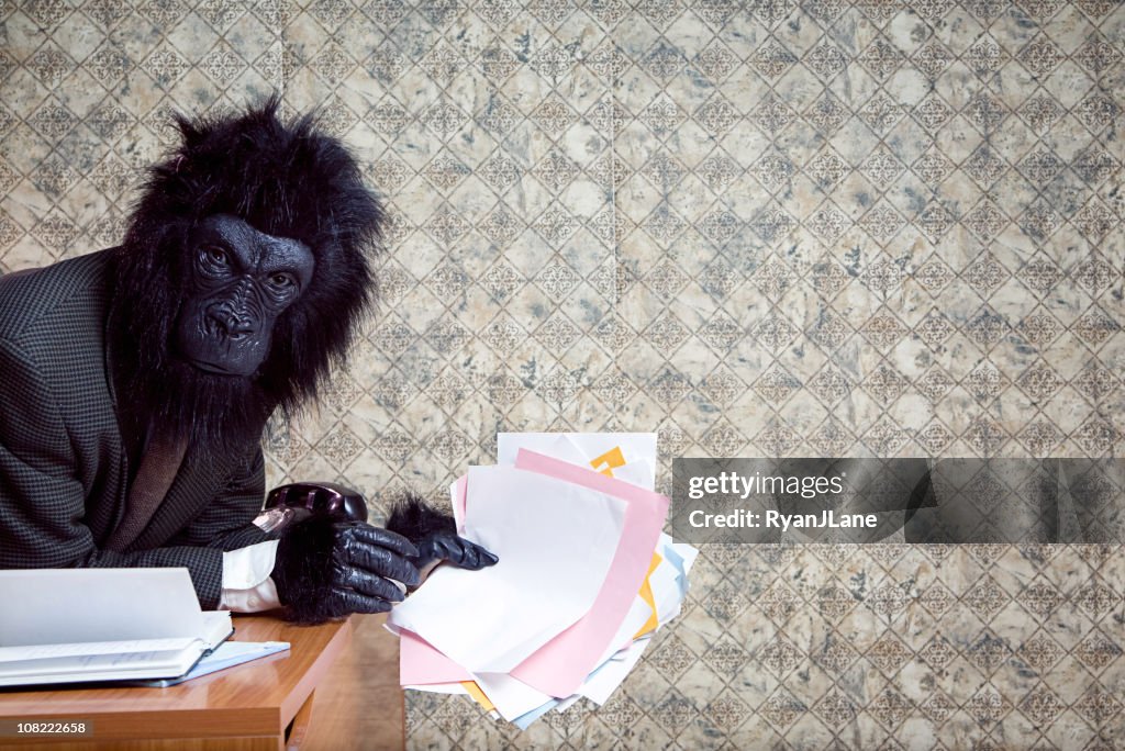 Gelangweilt und frustriert Geschäft Gorilla im Büro