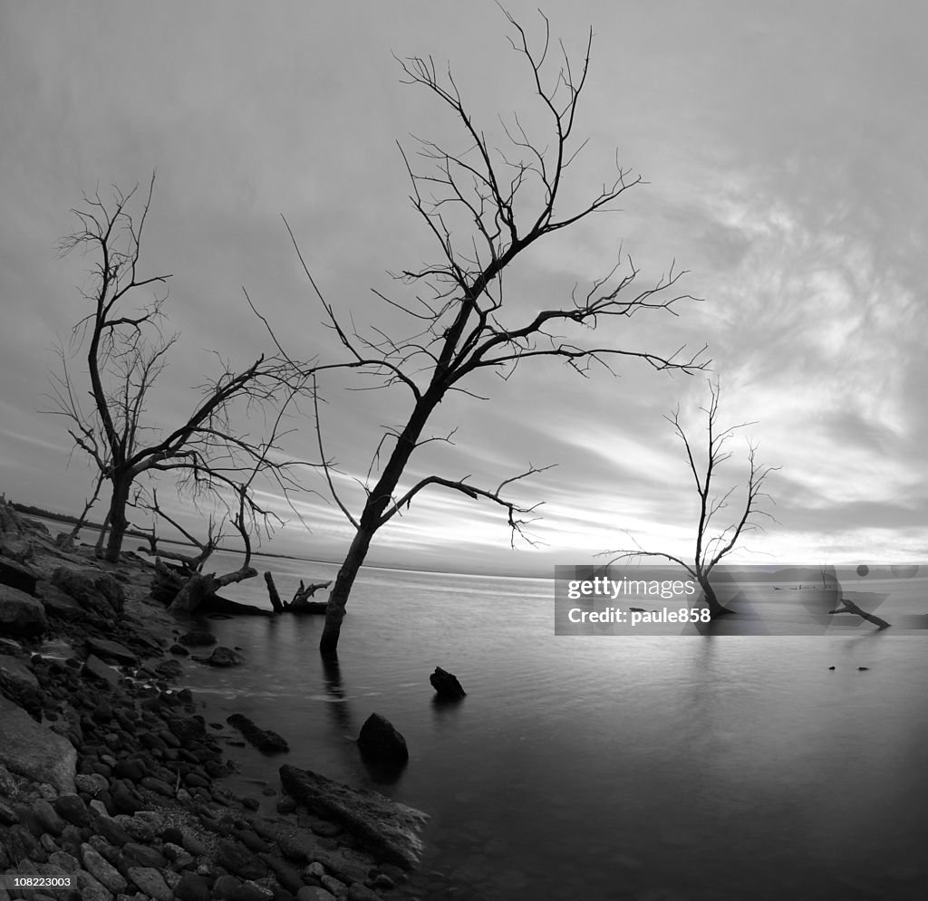 Salton Sea Distortion