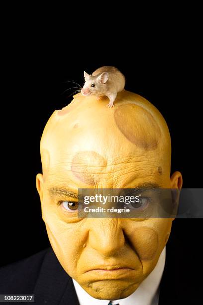 something eating at you? - hairless mouse stock pictures, royalty-free photos & images