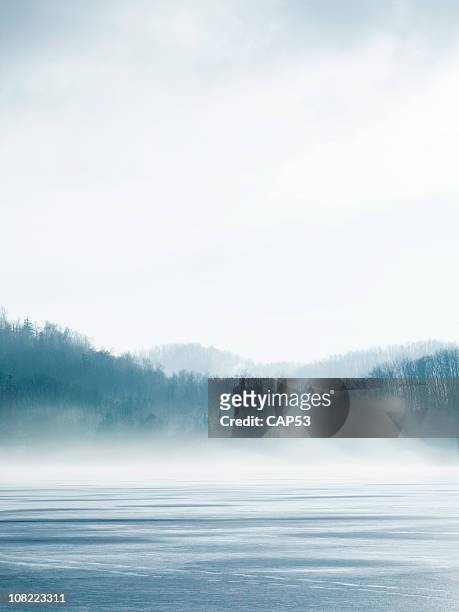 lago in inverno - nebbia foto e immagini stock