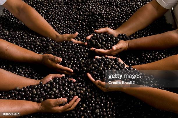 people's hands reaching into acai berries - acai berries stockfoto's en -beelden