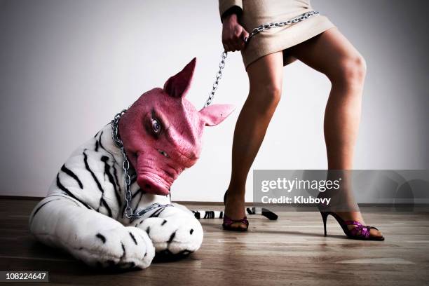 woman holding pet on chain - pet leash stockfoto's en -beelden