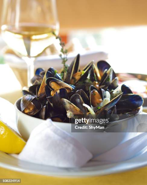 fresh mussels in white wine - bivalve stock pictures, royalty-free photos & images