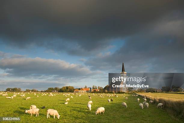 kirche von den hoorn, texel - friesland noord holland stock-fotos und bilder