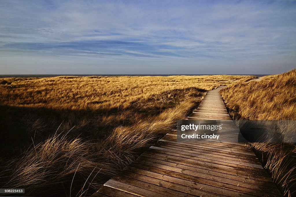 Wooden Walking Path Through Field - Sylt ( Germany )