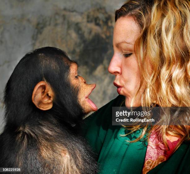 baby chimp und handler - zoowärter stock-fotos und bilder