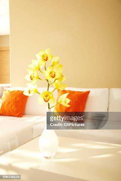 yellow orchids in modern house - orchid order stock pictures, royalty-free photos & images