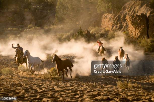 カウボーイ恵まれて砂漠を行く野生馬 - wild west ストックフォトと画像