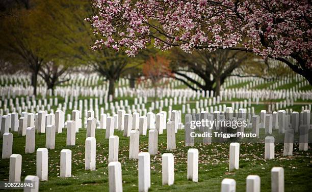 cemitério nacional de arlington - cemitério nacional de arlington imagens e fotografias de stock