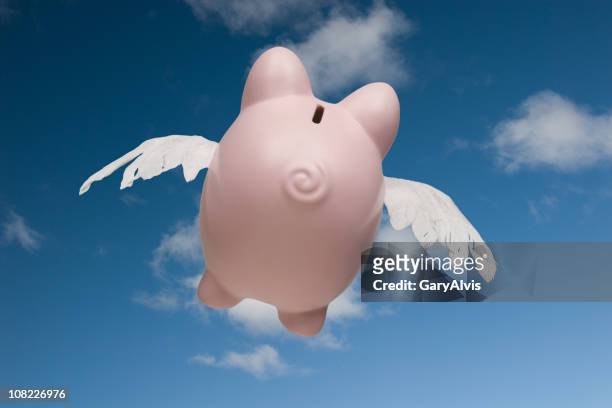 rear view of piggy bank flying away in sky - ontsnappen stockfoto's en -beelden