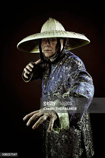 908 Kung Fu Master Photos and Premium High Res Pictures - Getty Images