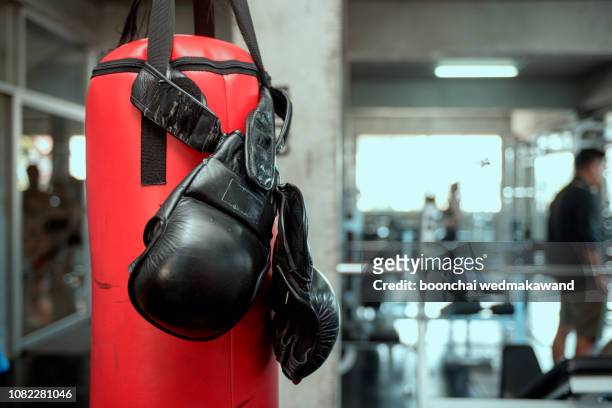 interior of a spacious gym with punching bags - brown glove stockfoto's en -beelden