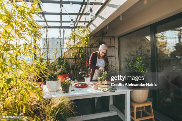 ältere frau im garten auf der terrasse ihrer stadt - frau 50 garten stock-fotos und bilder