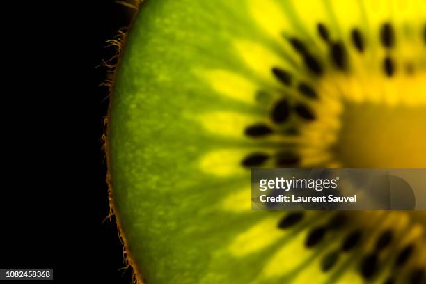 extreme close-up of a back lit kiwi fruit (kiwi or kiwifruit) in macrophotography - laurent sauvel photos et images de collection