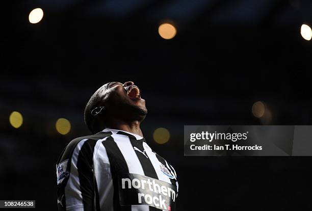 Shola Ameobi of Newcastle United during the Barclays Premier league match between Newcastle United and Tottenham Hotspur at St James' Park on January...