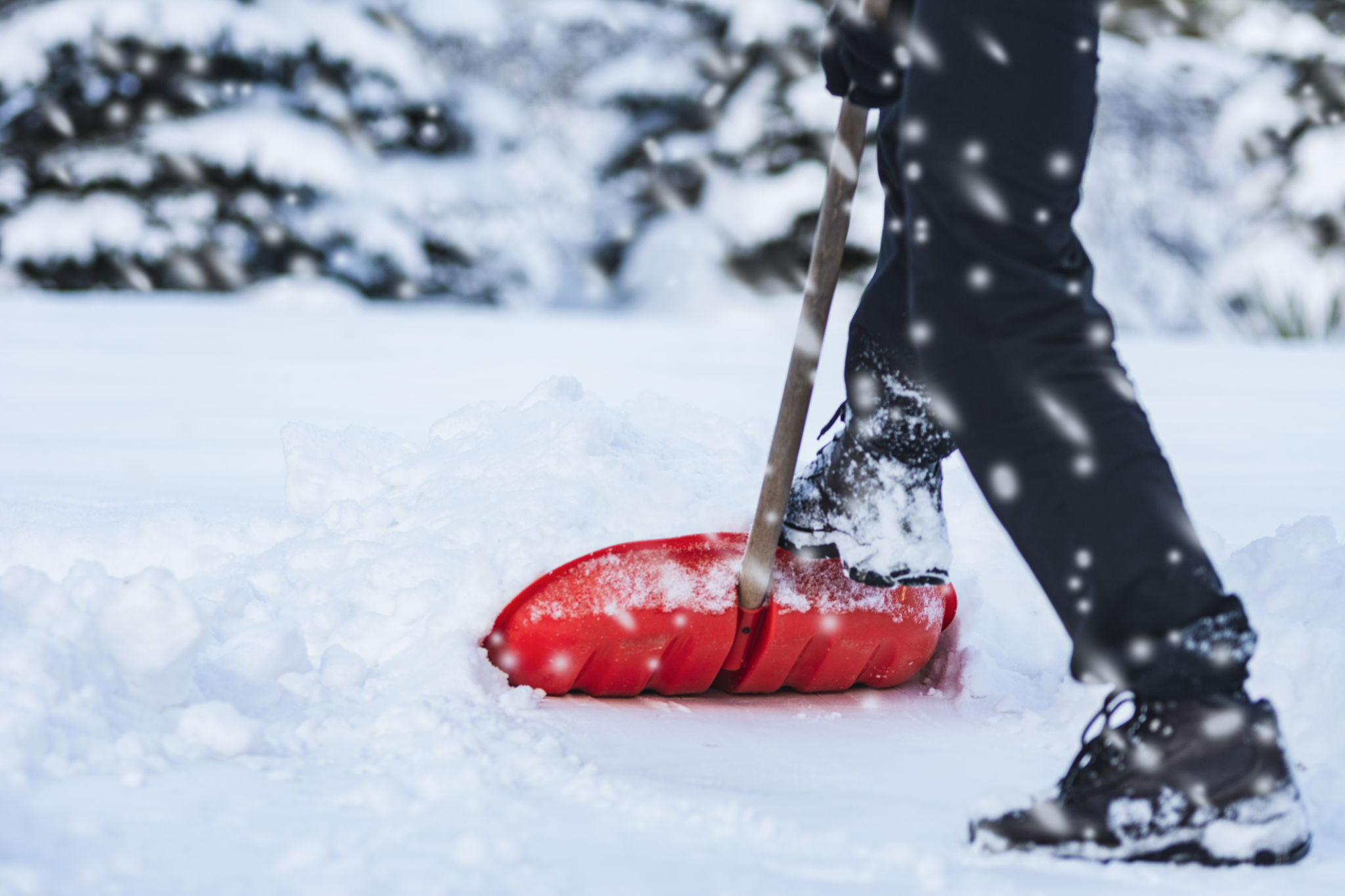 winter cleaning