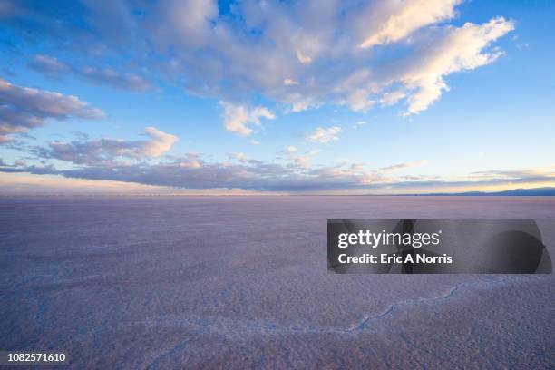 bonneville salt flats after sunset - saltäng bildbanksfoton och bilder