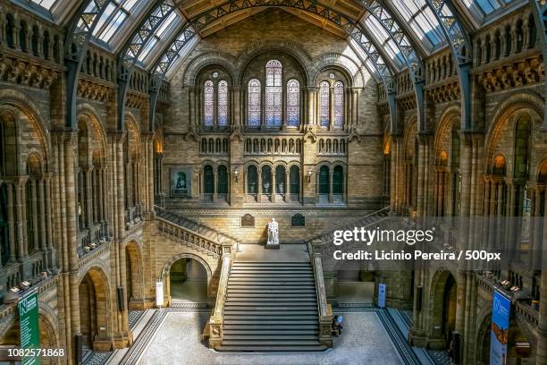 london - ロンドン自然史博物館 ストックフォトと画像