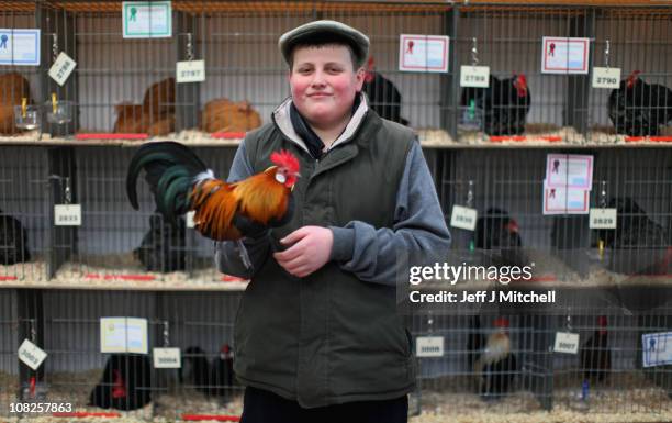 Andrew Addison holds his Gold Partridge Dutch cockerel at the Scottish National Poultry Show in Lanark Market on January 22, 2011 in Lanark,...