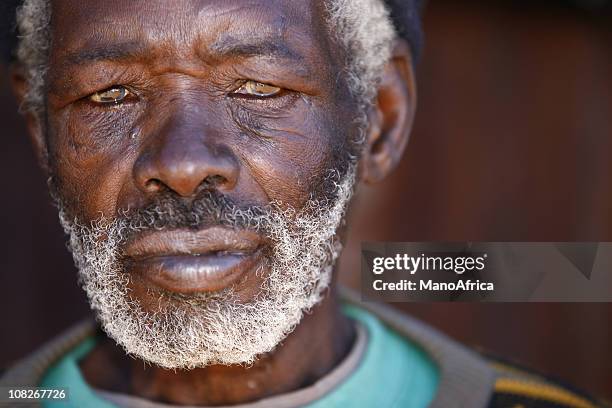 portrait of senior african man - south african culture stock pictures, royalty-free photos & images