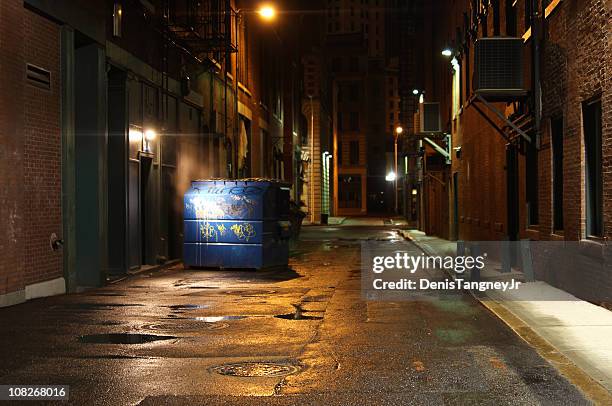 alleyway oscuro - alley fotografías e imágenes de stock