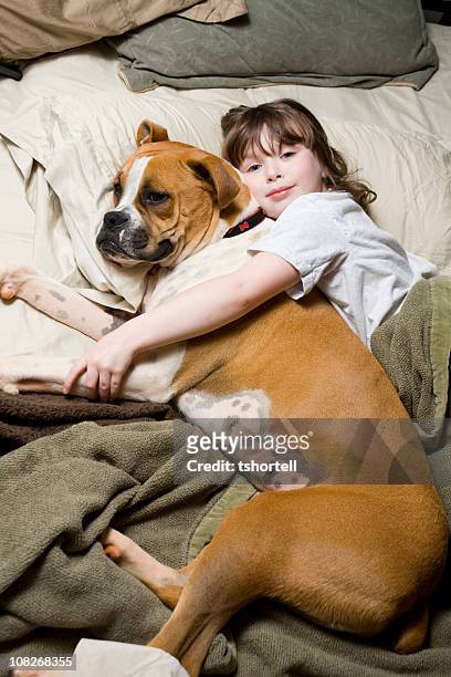 ��彼女の犬と少女 - boxer dog ストックフォトと画像