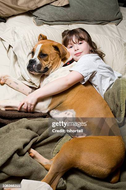 little girl and her dog - boxer dog stock pictures, royalty-free photos & images