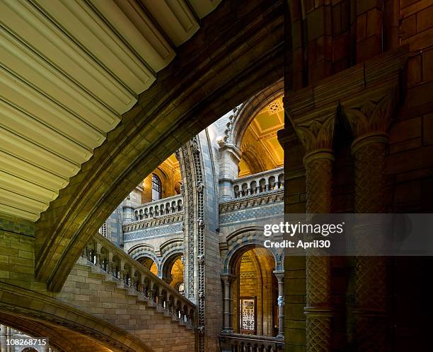 1,053 Natural History Museum Interior Stock Photos, High-Res Pictures ...