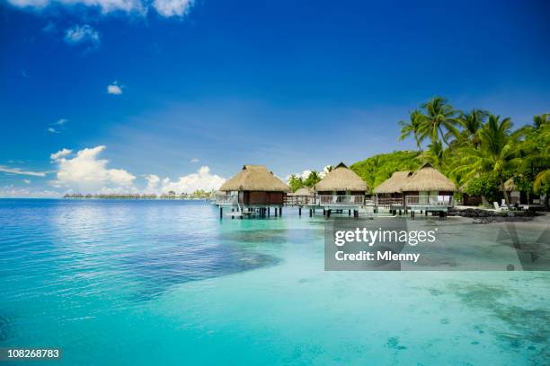 vacation huts on ocean in french polynesia - tahiti stock pictures, royalty-free photos & images