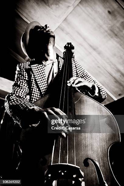 contrabassist - double bass stock pictures, royalty-free photos & images