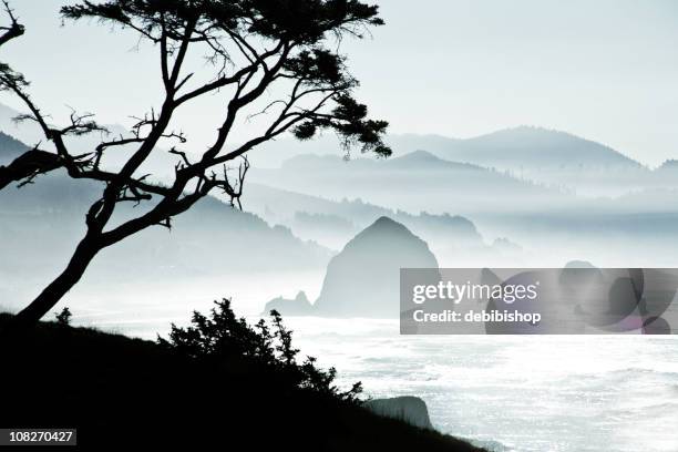 silhueta de árvores no misty canon praia, oregon - costa de oregon imagens e fotografias de stock