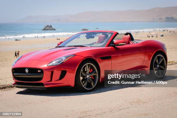 f-type in its natural element - gunnar helliesen fotografías e imágenes de stock