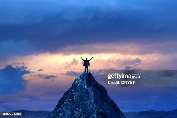 empresario de pie sobre el pico de la montaña - en lo alto posición descriptiva fotografías e imágenes de stock