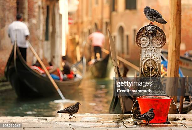 warm afternoon in venice - drinkwaterfontein stockfoto's en -beelden