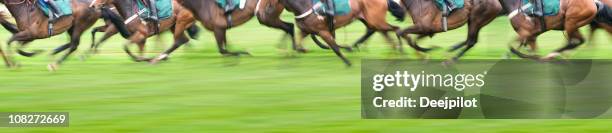 panorama view of race horses - day at the races stock pictures, royalty-free photos & images