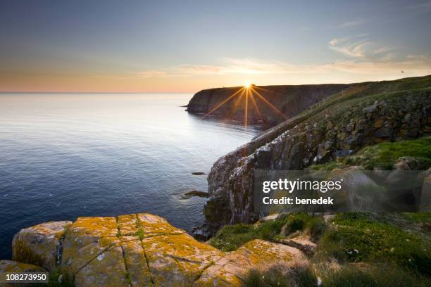 cape st. mary's newfoundland - atlantic canada stock pictures, royalty-free photos & images