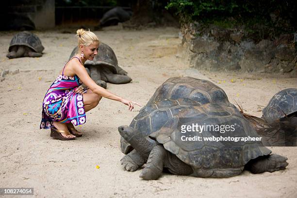 friendship - seychelles stock pictures, royalty-free photos & images