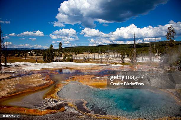yellowstone national park - grand prismatic spring stock pictures, royalty-free photos & images
