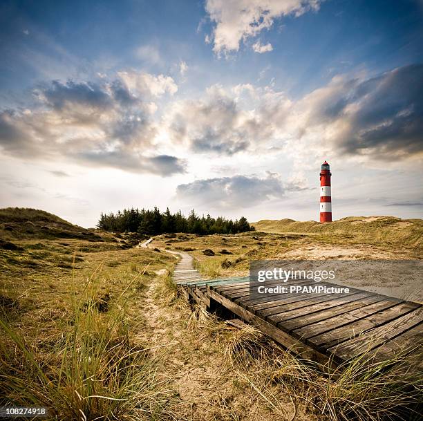 leuchtturm in den dünen - insel amrum stock-fotos und bilder