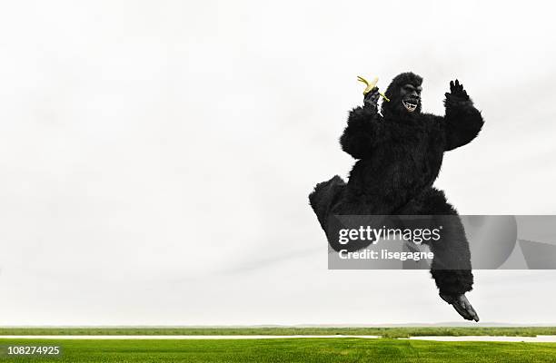 big monkey running in a meadow - go bananas stockfoto's en -beelden