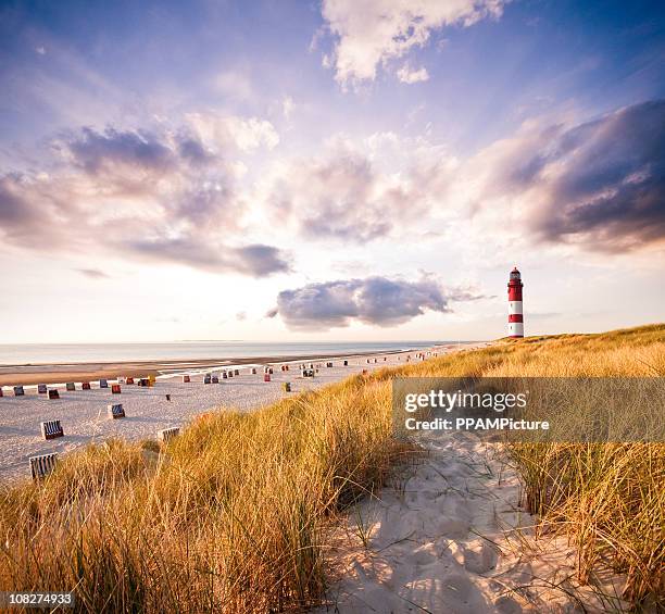 leuchtturm in den dünen - beach dunes stock-fotos und bilder