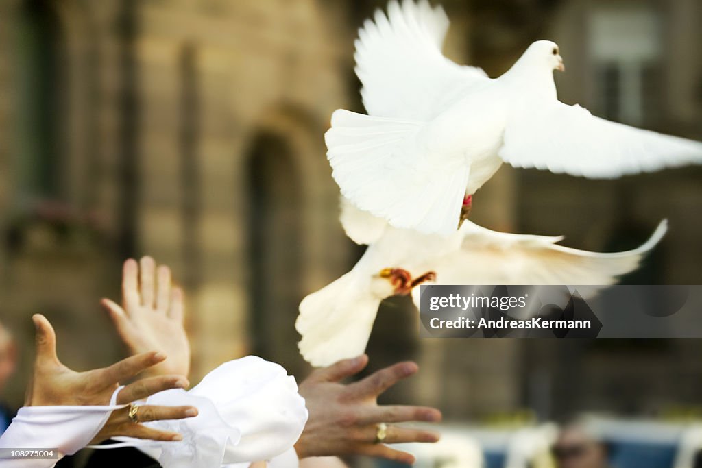 White Doves Flying Away from Newlywed's Hands