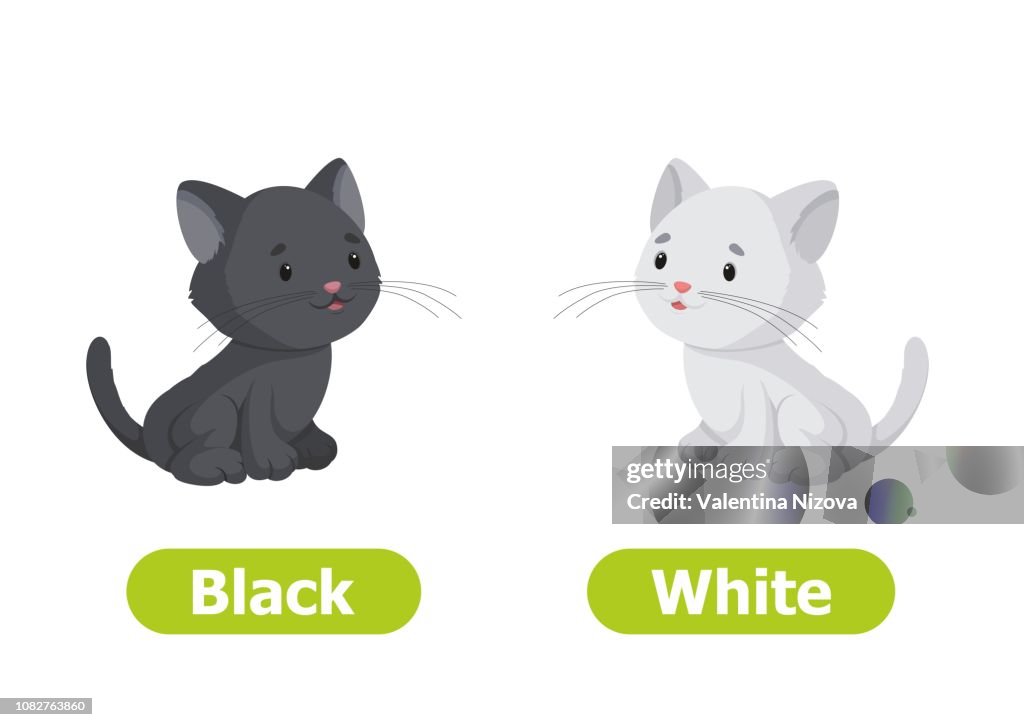 Antonyms Vector Vector Antonyms And Opposites High-Res Vector Graphic - Getty Images