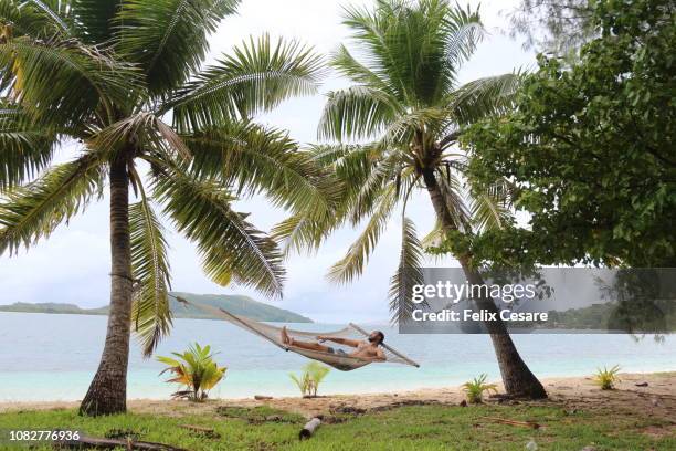 a young man relaxing on a hammock in fiji - fiji people stock pictures, royalty-free photos & images