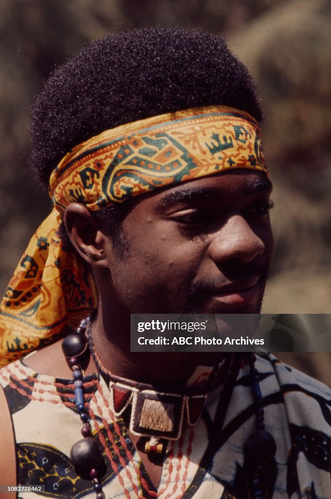 Turman Glynn Turman appearing in the Walt Disney Television via Getty Images ...