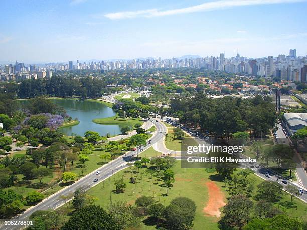 lago do ibirapuera - sao paolo stockfoto's en -beelden