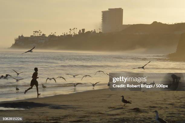 Beach Run High-Res Stock Photo