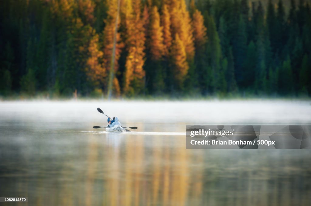 Fishing Trillium