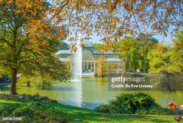 crystal palace in autumn - parque del buen retiro bildbanksfoton och bilder
